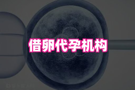 69助孕网 1