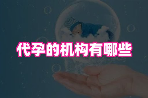 69助孕网 4